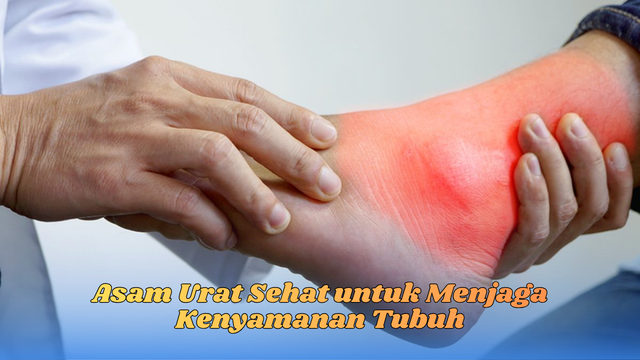 asam urat sehat